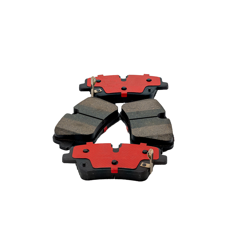 LR-20241124-2259-编辑_1