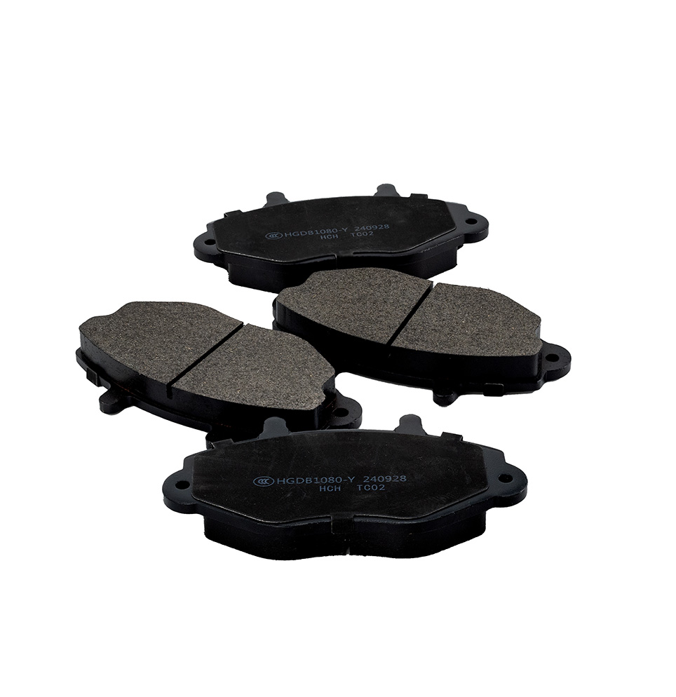 LR-20241124-2264-编辑_1